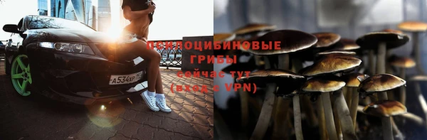 гашик Бугульма