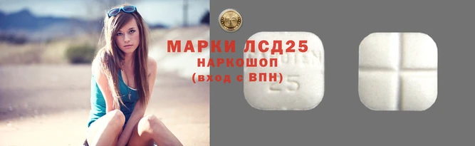 эйфоретик Баксан