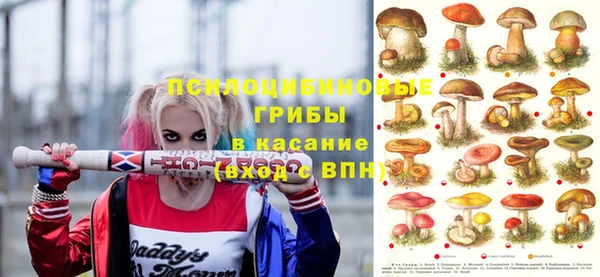 СК Балахна