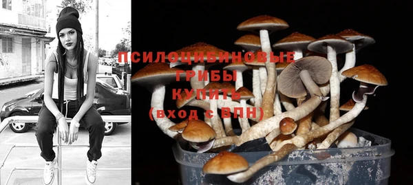 mdpv Алексин