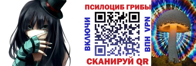купить наркотики сайты  Далматово  Псилоцибиновые грибы Psilocybe 